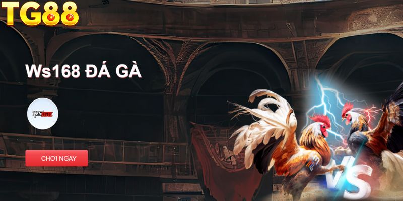 Khái quát về trò chơi